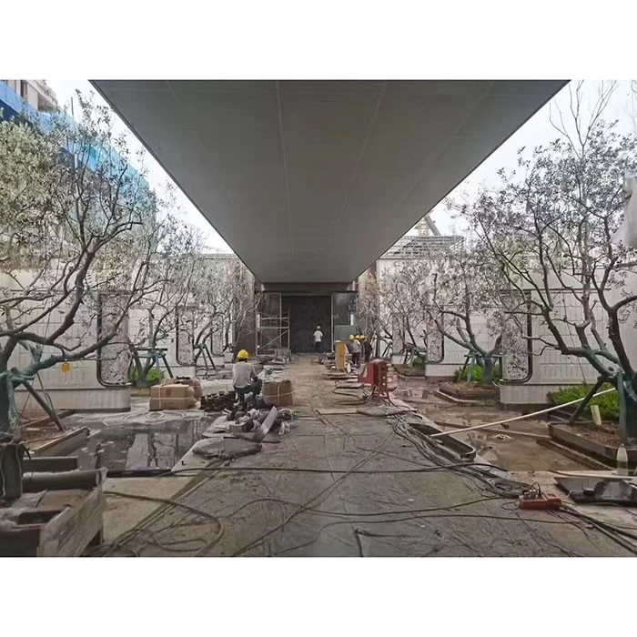 Utcai olajfa